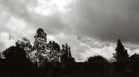 Timelapse with thick clouds over various trees and a meadow - Full HD Stock Footage 50377344