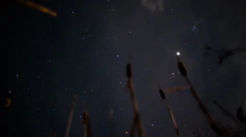 Timelapse up through cattails stars and clouds at night Stock Footage 62142229