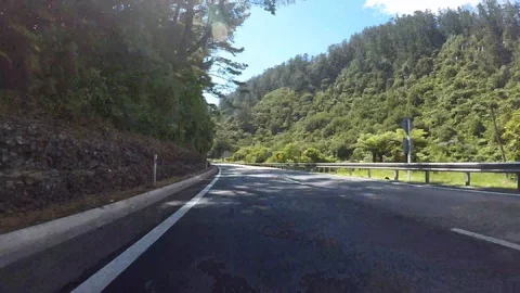 Timelapse through Karangahape Gorge, NZ Stock Footage 101006874
