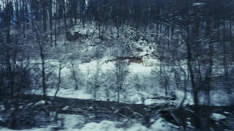 Timelapse Through The Snowy Streets Of Romania Stock Footage 308653497