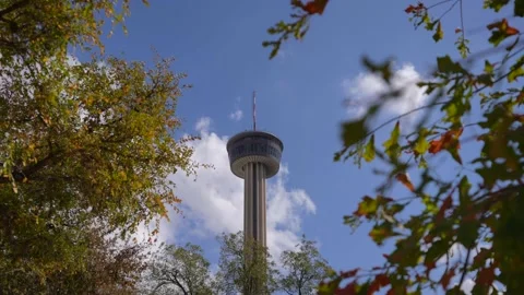 Timelapse Through Trees Of San Antonio Needle, Tower of the Americas 4k HD Stock Footage 143225751