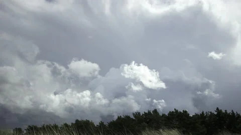Timelapse of thunderstorm clouds with trees Stock Footage 155288691