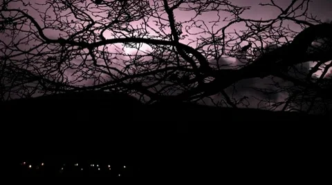 Timelapse thunderstorm with leafless bare tree Stock Footage 10610483
