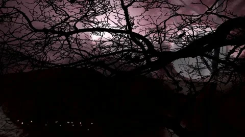 Timelapse thunderstorm with leafless bare tree and full moon Stock Footage 10610495