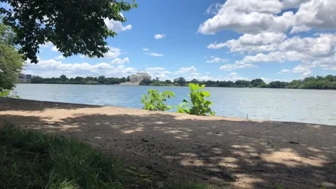 TIMELAPSE-TIDAL BASIN WASHINGTON D.C. Vídeos de archivo 130730469