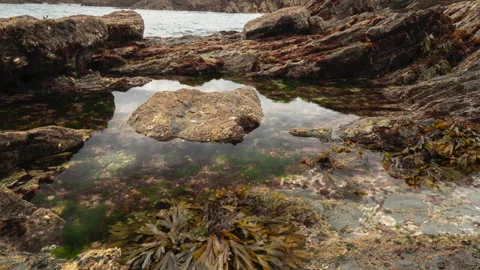 Timelapse of tide going out in a rocky Cornish cove Stock Footage 220519479