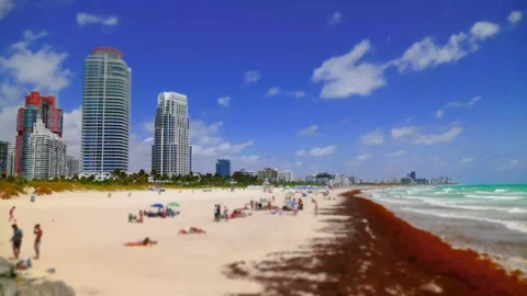 Timelapse Tilt Shift Day Beach Stock Footage 89416326