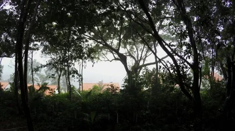 Timelapse time-lapse tropical rain shower the rain drops falling down slowly 4k Stock Footage 55626620