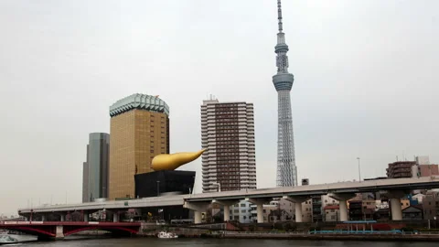 Timelapse Tokyo statue and large tower of Sumida City Stock Footage 116631906