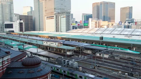 Timelapse Tokyo trains arrive and depart on Railway Station 스톡 동영상 116633044