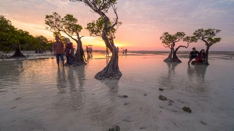 Timelapse of tourist and dancing trees in Walakiri beach, Sumba Stock Footage 112350003