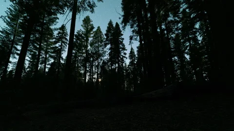 Timelapse tracking shot of night sky over forest in Yosemite National Park, USA Stock Footage 346104133