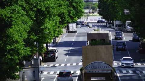 A timelapse of traffic jam at the tree line street in the business town in Tokyo Stock Footage 339823019