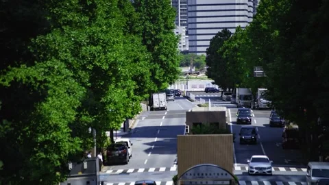 A timelapse of traffic jam at the tree line street in the business town in Tokyo Stock Footage 339823029