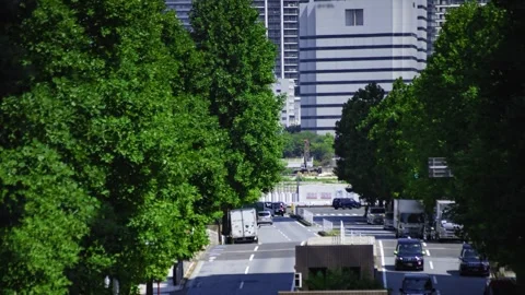 A timelapse of traffic jam at the tree line street in the business town in Tokyo Stock Footage 339823034