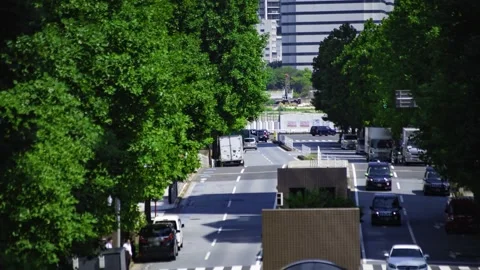A timelapse of traffic jam at the tree line street in the business town in Tokyo Stock Footage 339823035