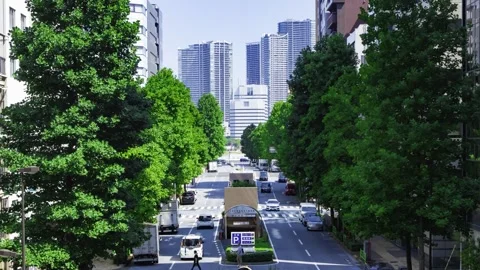 A timelapse of traffic jam at the tree line street in the business town in Tokyo Stock Footage 339823178