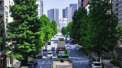 A timelapse of traffic jam at the tree line street in the business town in Tokyo Stock Footage 339823179