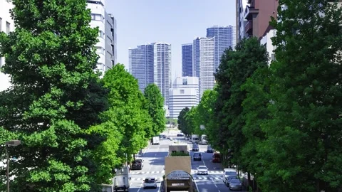 A timelapse of traffic jam at the tree line street in the business town in Tokyo Stock Footage 339823184