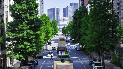A timelapse of traffic jam at the tree line street in the business town in Tokyo Stock Footage 339823341