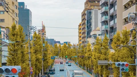 A timelapse of traffic jam at the yellow gingko street in Tokyo panning Stock Footage 324409985