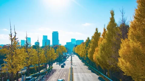 A timelapse of traffic jam at the yellow gingko street in the city wide shot Stock Footage 324952173