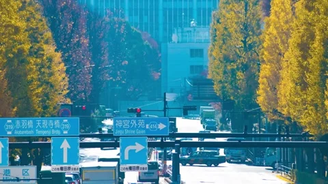 A timelapse of traffic jam at the yellow gingko street in the city telephoto Stock Footage 324952363