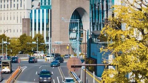 A timelapse of traffic jam at the yellow gingko street in the city Stock Footage 324952457