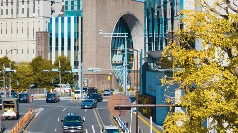 A timelapse of traffic jam at the yellow gingko street in the city tilt Stock Footage 324953185
