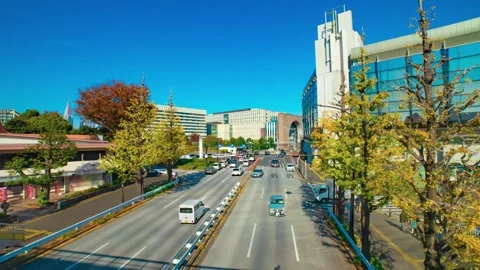 A timelapse of traffic jam at the yellow gingko street in the city wide shot Stock Footage 324953546
