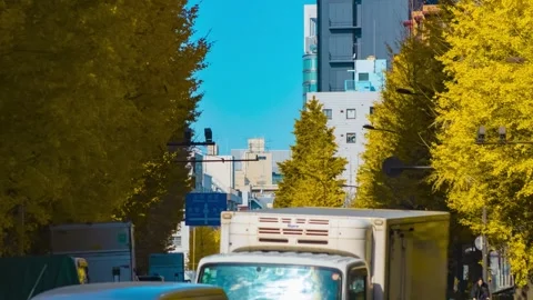 A timelapse of traffic jam at the yellow gingko city street in autumn telephoto Stock Footage 326770287