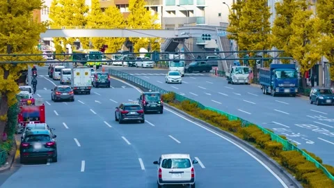 A timelapse of traffic jam at the yellow gingko city street in autumn panning Stock Footage 327425009