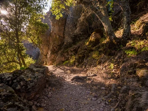 Timelapse of Trail with Shadows 4.6K, 1 Stock Footage 81572635