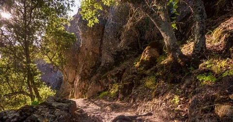 Timelapse of Trail with Shadows 4K, 1 Stock Footage 81563899