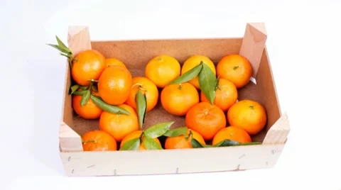 Timelapse: tray with tangerines Video stock 10562182