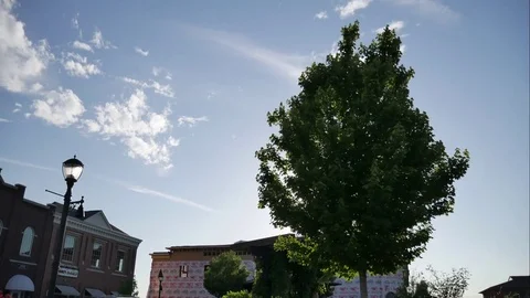 Timelapse of a tree and sky outdoor patio construction Stock Footage 75846223