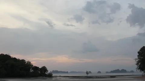 Timelapse tree Stock Footage 30809524