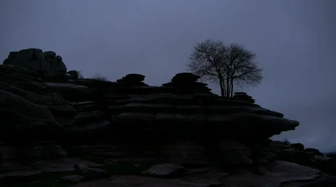 Timelapse of the tree Stock Footage 53841637