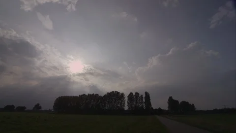 Timelapse Tree Silhouette Stock Footage 89612187