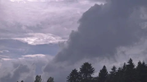 Timelapse with trees and clouds Stock Footage 41797850
