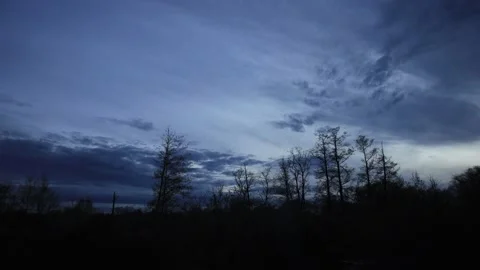 Timelapse of trees and clouds on a summer evening Stock Footage 155158619