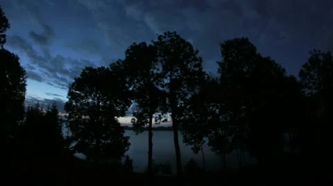 Timelapse Trees and Sky 3 Stock Footage 12125617