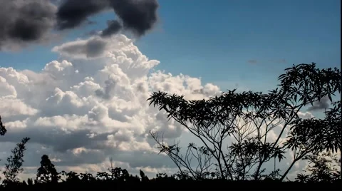 Timelapse with trees and white, black and gray clouds Stock Footage 44750746