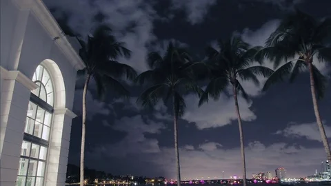 Timelapse Trees with City and Ocean background Stock Footage 73096013