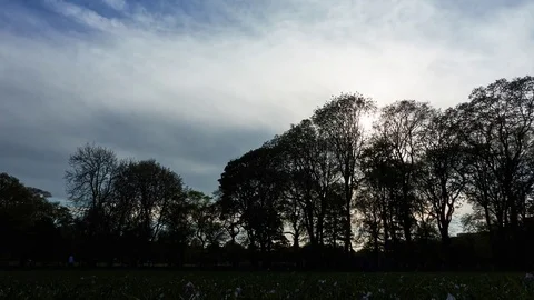 Timelapse of Trees on the Meadows in Edingburgh Stock Footage 77486251
