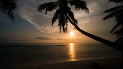Timelapse of a tropical beach at sunset Stock Footage 101647058