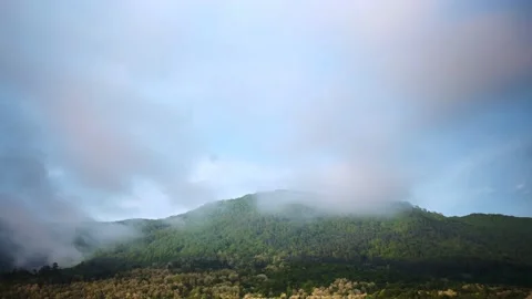 Timelapse of a tropical city Video stock 207354073