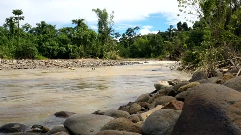 A timelapse of a tropical river with brown colored water in which the river Stock Footage 142748345