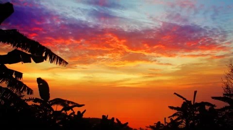 Timelapse tropical sunset HD Stock Footage 52631634