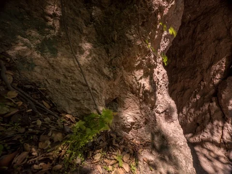 Timelapse of Tunnel Through Rock 4.6K Stock Footage 81571899